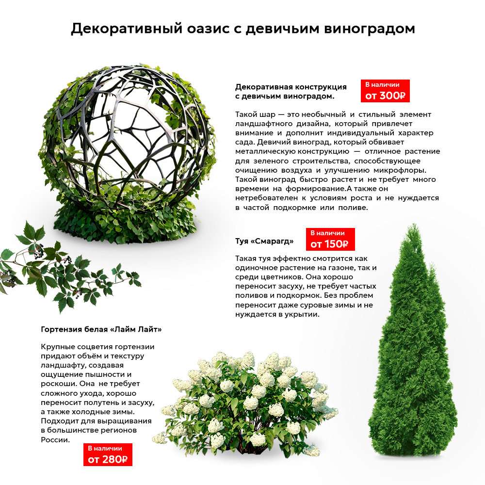 Описание1.jpg Описание1.jpg