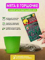 Набор для выращивания "Мята"